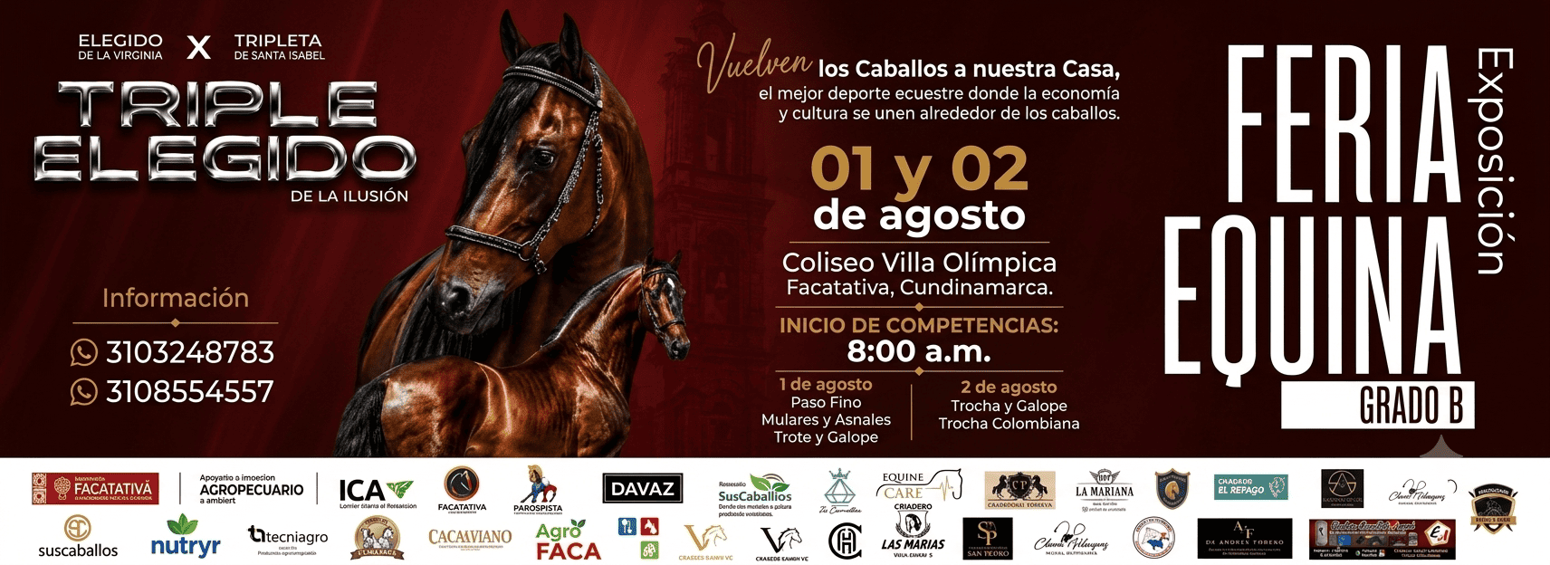 Exposición Feria Equina Grado B